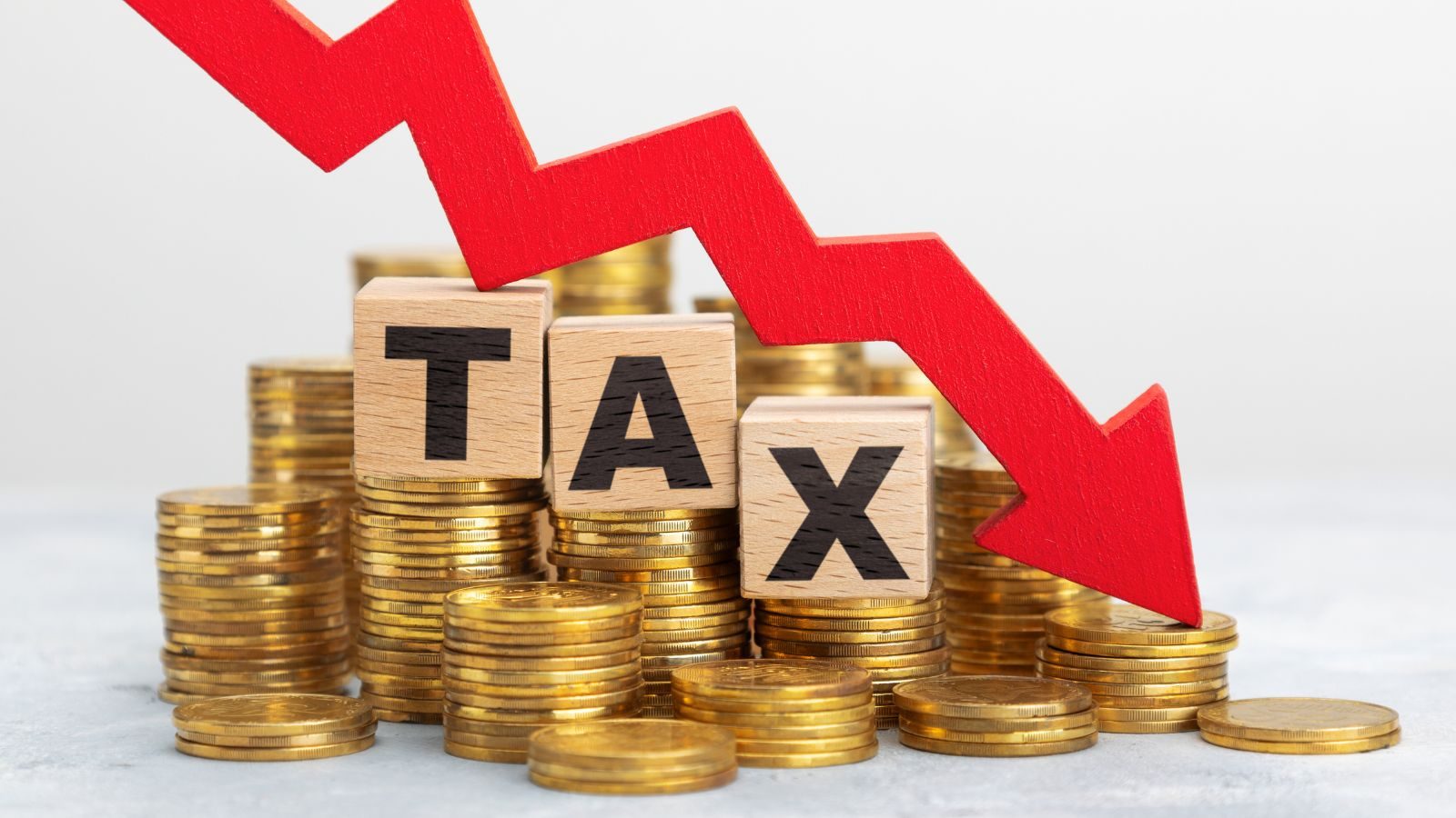 Direct & Indirect Taxation at Ratnesh Thakur & Co.